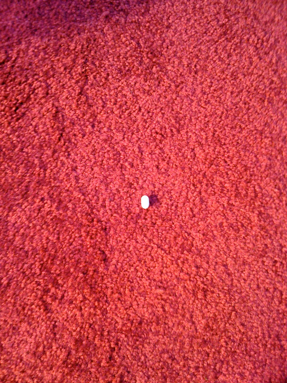 Glamor on the Red Carpet