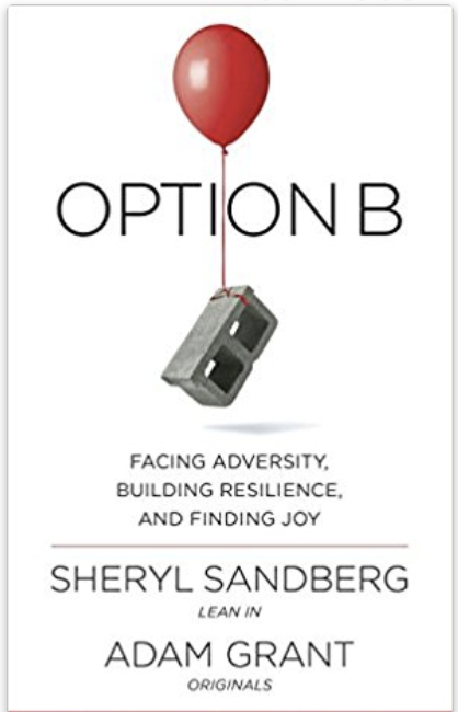 Option B book cover